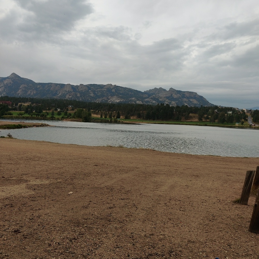 Meet your Posher, Izzy